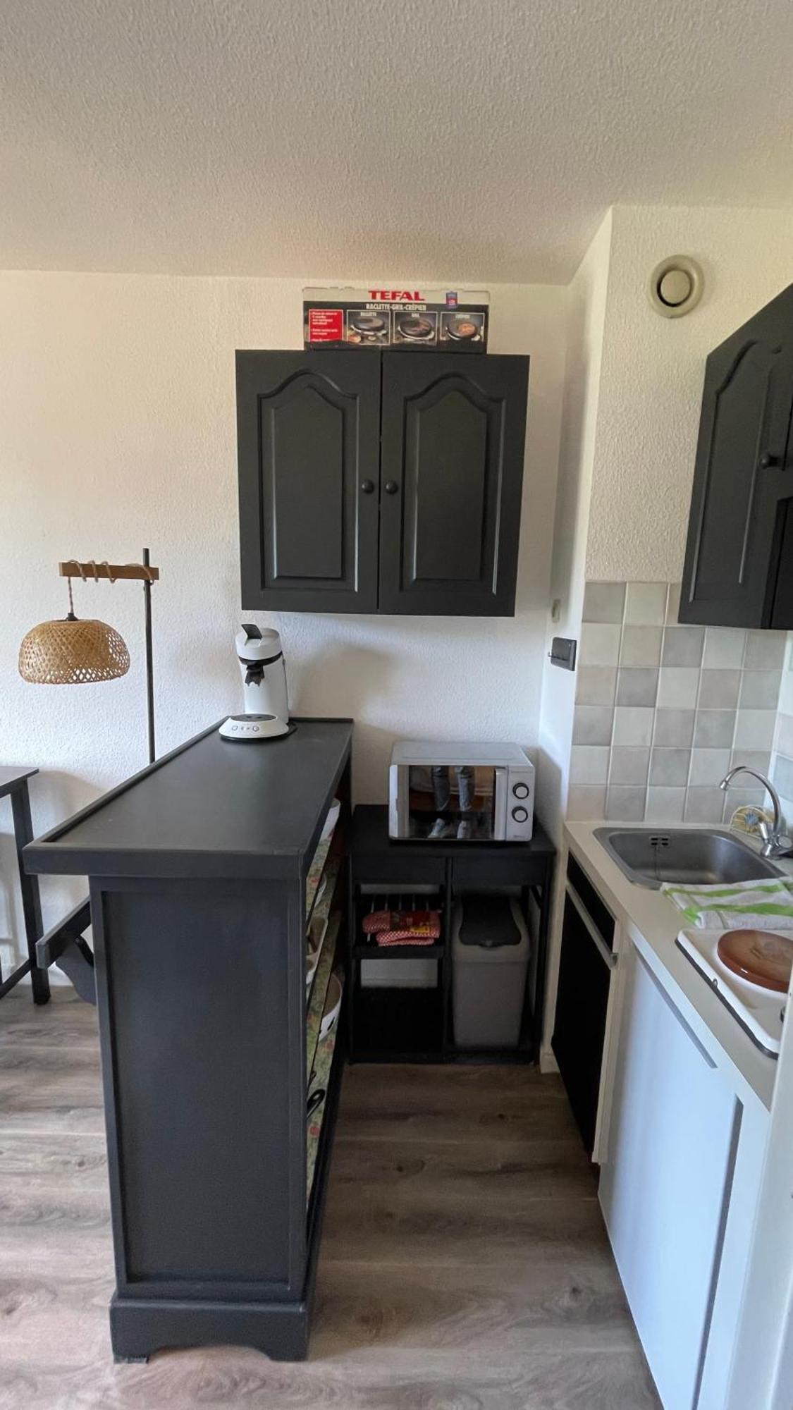 Studio Cosy 4 Couchages Avec Parking Et Balcon, Au Pied Telesiege Et Vente Forfaits A La Foux D'ألو المظهر الخارجي الصورة
